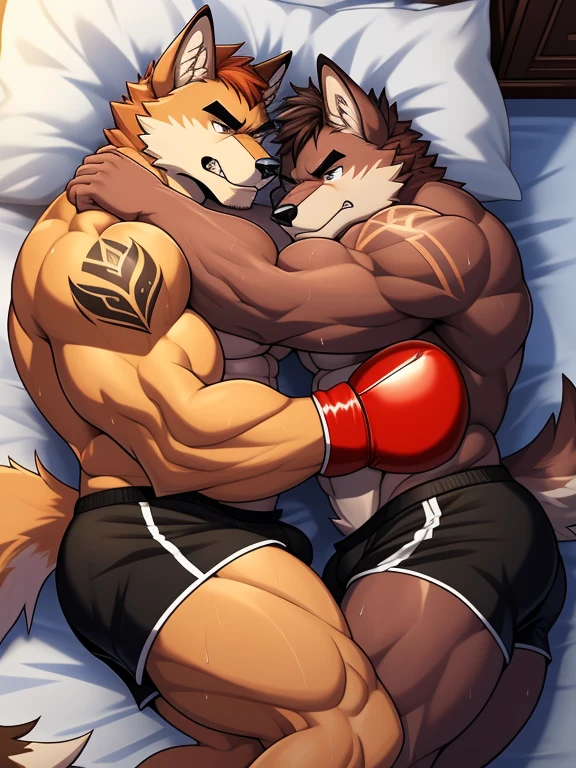 Duo big male fighters(Brown Wolf vs Red Wolf, handsomes, Thick eyebrows), beso gay(Cuddling lying down embraced in a bed match, Body frottage, touching bulges), hot(Full body, shirtless), handsomes(They are handsomes, correct anatomy), musculosos(Big muscle bodies, Six packs, muscle abs, big pecs, muscle legs, muscle backs), sweaty(very sweaty wet bodies), tatuajes(they have tattoos), Angry(They have an angry expression), Boxing gloves(They both are wearing reds boxing gloves), boxers(They are wearing black shorts boxers), Hight resolution