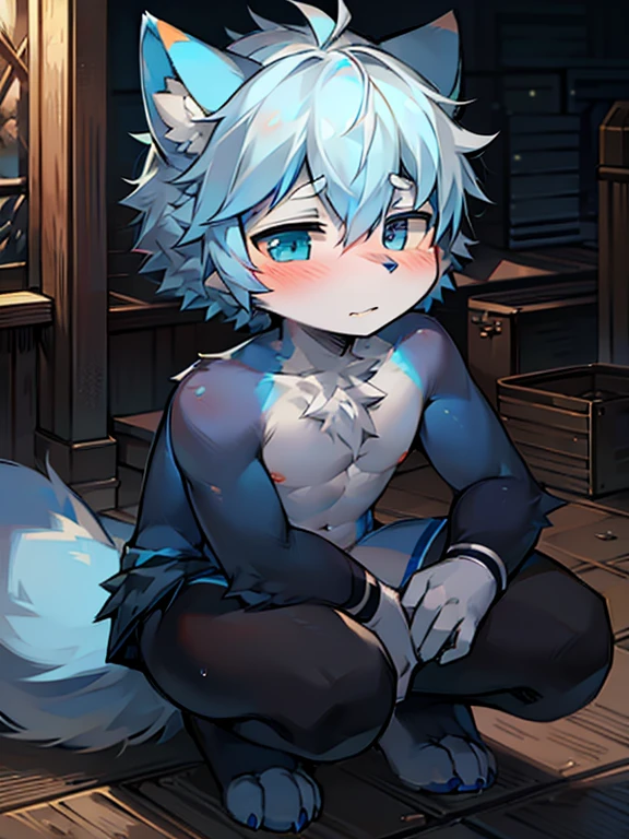 1 boy, Wolf,young people,Blue fur, young people, Heterochromia, Messy hair, blue white hair, short hair, masterpiece,Topless,blush,Squatting
