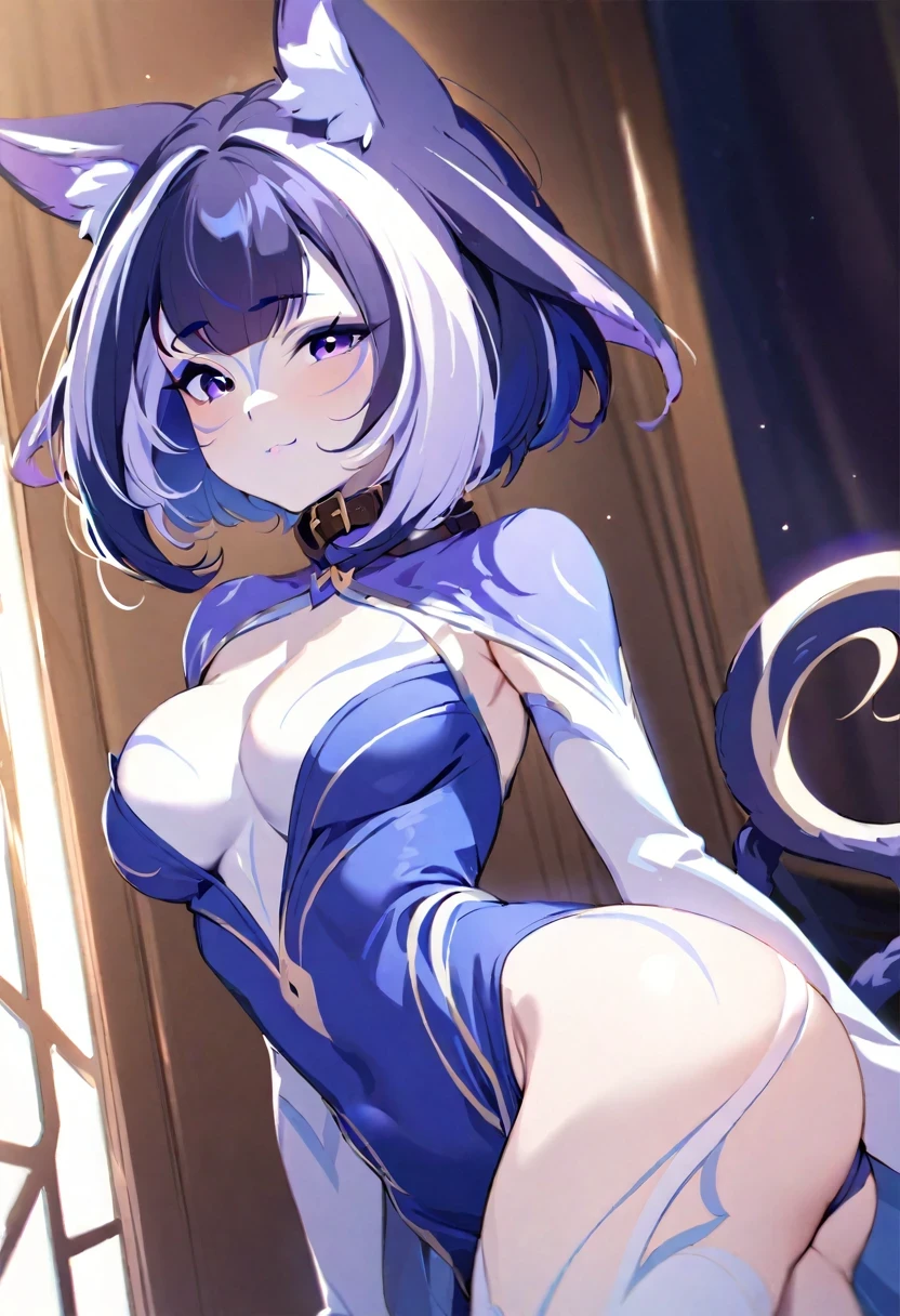 (shylily/(Twich/):1.5),(masterpiece:1.2),(best quality:1.2),, (1girl:1.3),cute girl, short hair, , Cat ears, Cat collar, Medium breasts, beautiful slim waist, Big and attractive ass. 