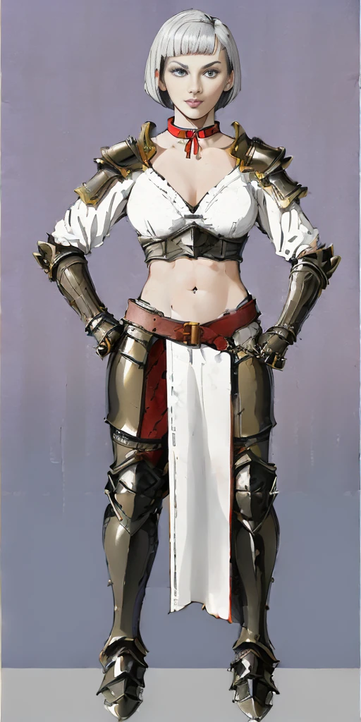 (((Best Quality))) , ((full body)), female, reference sheet, solo, (white background), holding weapon, cloak, gauntlets, holding shield, leotard, armored dress, waist armor, loincloth, pelvic curtain, blue, orange, green, violet, brown, white, thigh high,