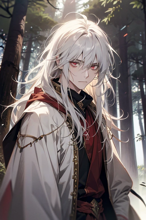 1male, calm, age 35 face, long messy hair with bangs, white hair, red colored eyes, (druid, forest, howl), druid armour