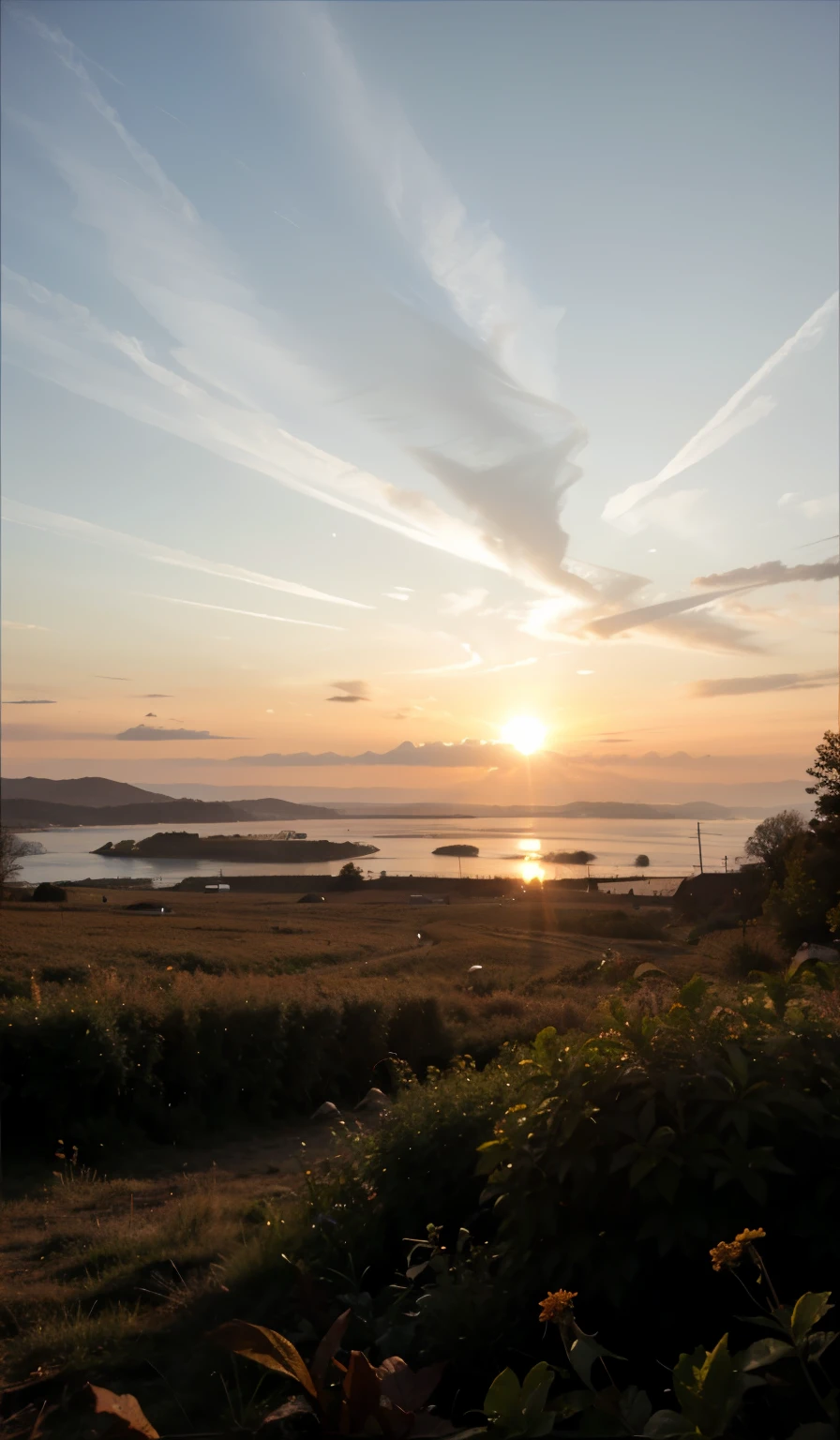 The Sun illumination of the day