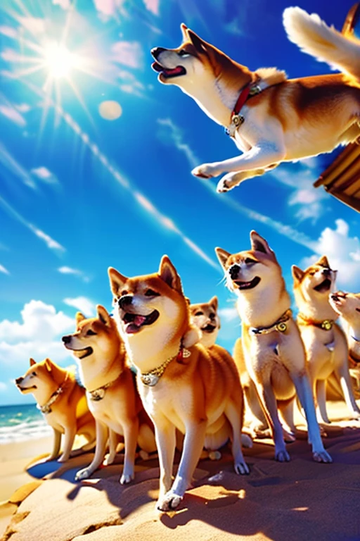 Shiba Inu herd, sunny summer day