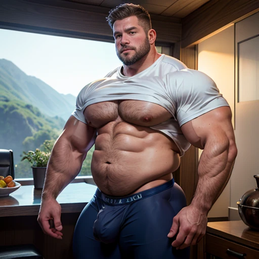 Dan Kuso, fully clothed, huge dad bod, extremely chubby, dilf, beefy body, thick ass, whole body in view, tight shirt, enormous arms and legs, enormous bulge in underwear, 8k, HDR, volumetric lighting, ultra quality, elegant, highly detailed