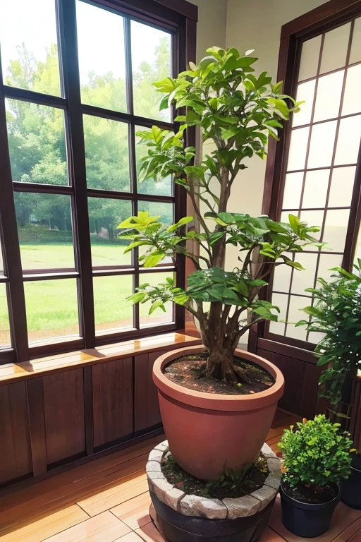 Is there a plant that is in a pot on the floor, a photo of Virginia Lee Burton, reddit, letters, large plant pot, plant pot, willow plant, potted plants, green plant, plant pot, lush plants and bonsai trees, next to a plant, pots with plants, tree and plants, exclusive pot made for houseplants,