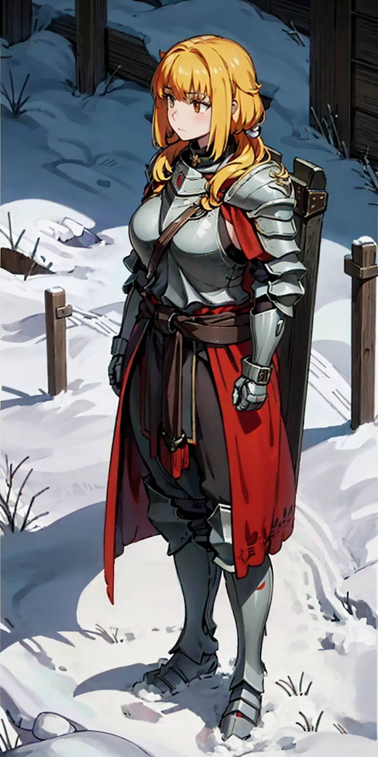 full body standing straight symmetrical, FEMALE warrior princess, big belt around waist, hair, very white skin like snow, wearing full heavy armor red cape, brown leather boots, adventurer outfit, veteran warrior