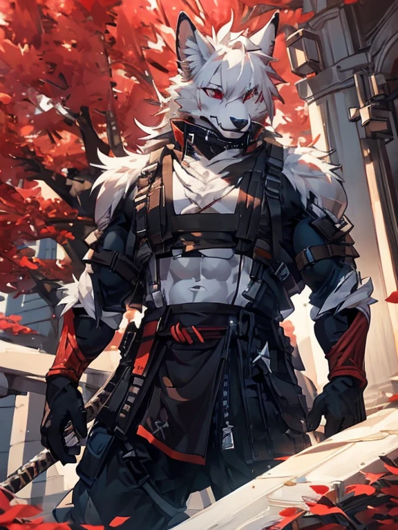 male, furry, Fox anthro, solo, white fur, red eyes, (Realistic eye details 1.2), urbansamuraiwear, abs, Masterpiece, dramatic lighting, soft lighting, day, highly detail, Hair coiled, detail fur, perfect body