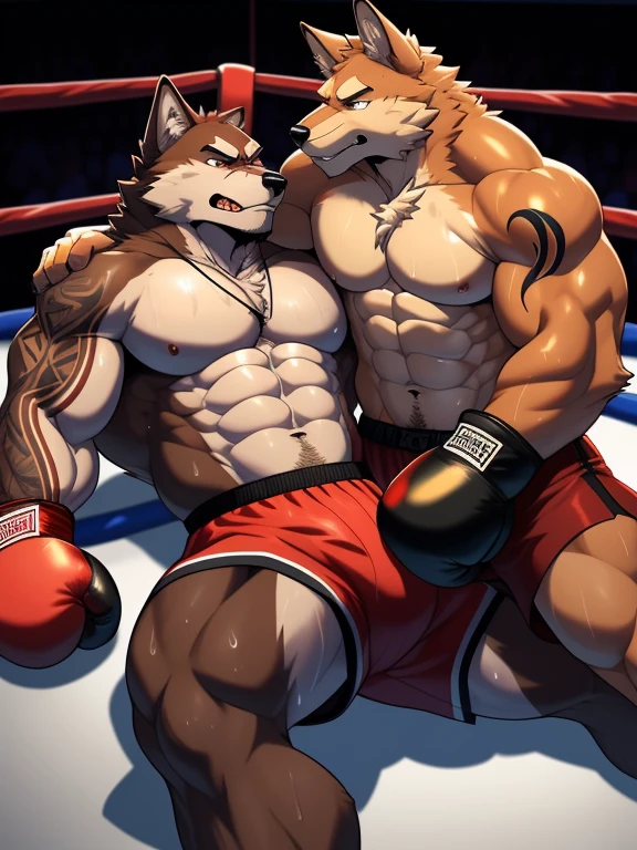 Duo big male fighters(Brown Wolf vs Red Wolf, handsomes, Thick eyebrows), beso gay(Cuddling lying down embraced in a boxing match, Body frottage), hot(Full body, shirtless), handsomes(They are handsomes, correct anatomy), musculosos(Big muscle bodies, Six packs, muscle abs, big pecs, muscle legs, muscle backs), sweaty(very sweaty wet bodies), tatuajes(they have tattoos), Angry(They have an angry expression), Boxing gloves(They both are wearing reds boxing gloves), boxers(They are wearing black boxers), Hight resolution