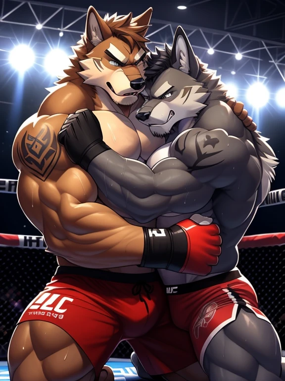 Duo big male fighters(Brown Wolf vs marrow Wolf, handsomes, Thick eyebrows), beso gay(Cuddling kneeling embraced from behind in a UFC match, Body frottage), hot(Full body, shirtless), handsomes(They are handsomes, correct anatomy), musculosos(Big muscle bodies, Six packs, muscle abs, big pecs, muscle legs, muscle backs), sweaty(very sweaty wet bodies), tatuajes(they have tattoos), Angry(They have an angry expression), UFC gloves(They both are wearing black UFC gloves), boxers(They both are wearing black boxers), Hight resolution