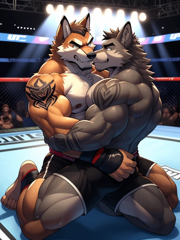 Duo big male fighters(Brown Wolf vs marrow Wolf, handsomes, Thick eyebrows), beso gay(Cuddling kneeling, embraced from behind, in a UFC match, Body frottage), hot(Full body, shirtless), handsomes(They are handsomes, correct anatomy), musculosos(Big muscle bodies, Six packs, muscle abs, big pecs, muscle legs, muscle backs), sweaty(very sweaty wet bodies), tatuajes(they have tattoos), Angry(They have an angry expression), UFC gloves(They both are wearing black UFC gloves), boxers(They both are wearing black boxers), Hight resolution