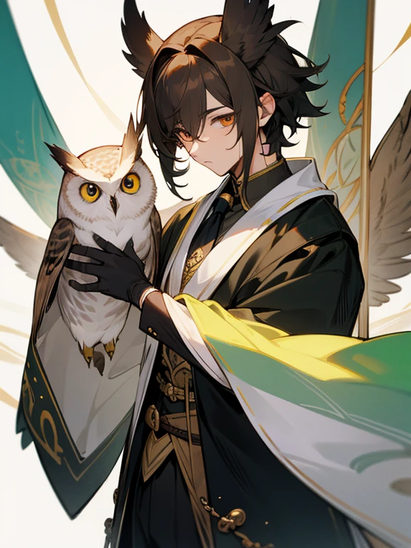 male、Fantasy、Anthropomorphic owl、Narrow eyes