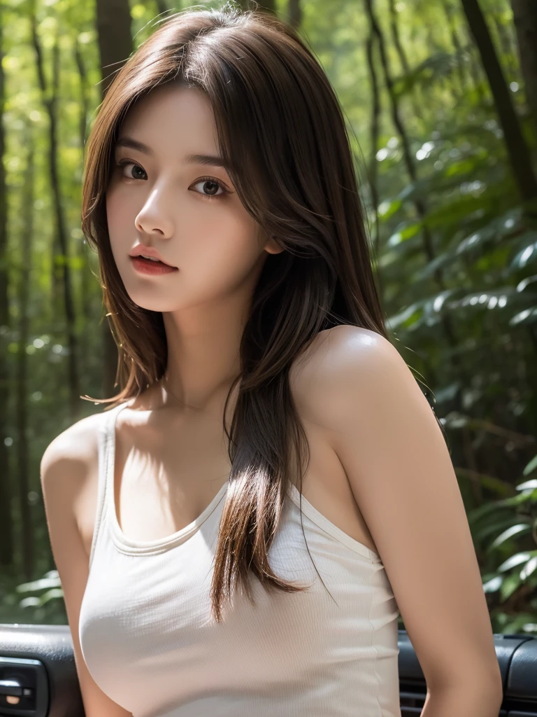 best qualtiy, tmasterpiece, Ultra-high resolution,（realisticlying:1.6), RAW photograph, 1girl, mid body, in the darkness nigth, deep shading, low tune,soft d light, looking to the camera, Sexy look, long brown hair, daylight, outdoor, forest  background, jeep,

