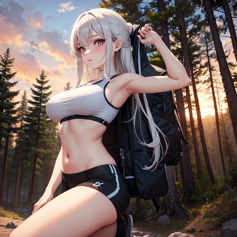 (headshot), 1girl, beautiful, sunset, beautiful sunset, cloudy, forest, nature hike, (((headshot))), BREAK
sports bra, backpack, yoga pants, BREAK
large breasts, makeup, long straight hair, pale skin, fair skin, white skin, BREAK
