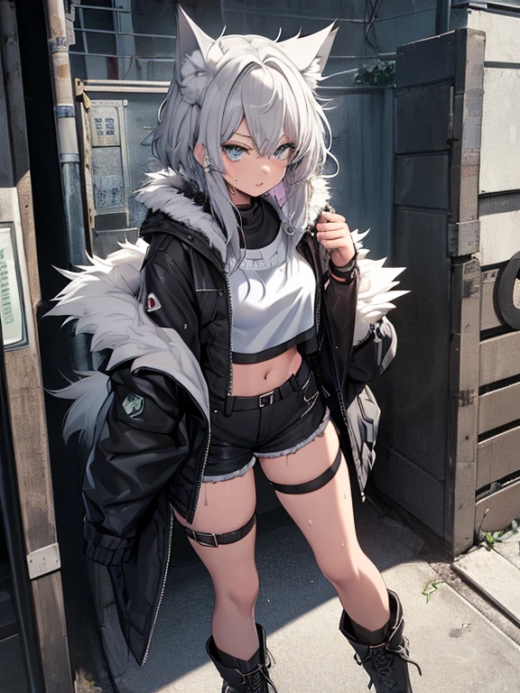 Single girl, Anime tomboy, Short, Long white hair, wolf ears, wolf tail, blue eyes, thigh high fishnets, black combat boots, wearing fur lined open jacket, nude, solo tomboy, only one female ((small breasts)) solo, alone, (SOLO)(ALONE) thighs, nice hips, blue eyes, perfect eyes, perfect face, pouty lips, happy, white shirt, midriff, black cutoff shorts, perfect detailed face, ((sweat)), aftersex, alley, modern grey walls, (prostitution), (((holding money in hand))), (((money))), dollar, ((after prostitution)), standing, spread legs, (smug), young,