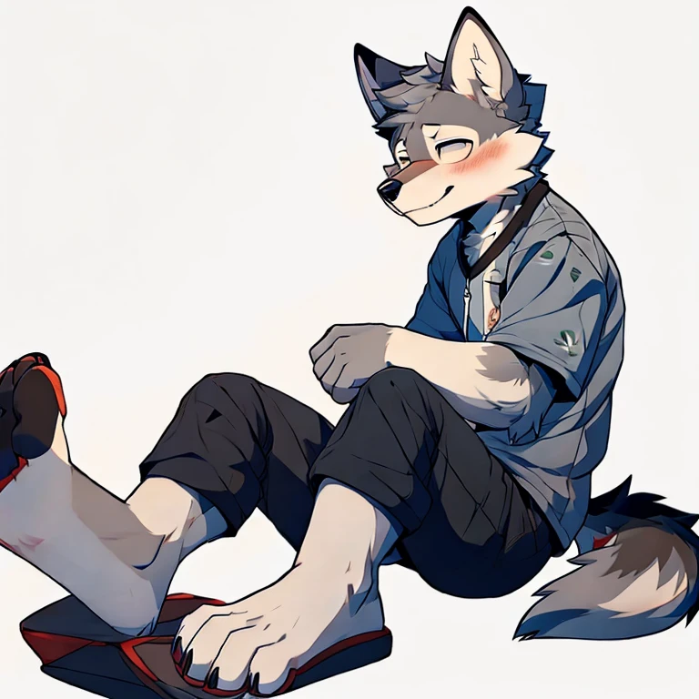 man,Gray wolf,Modern Background,Blushing,Tight Fit,Sitting,Showing the white on the feet
