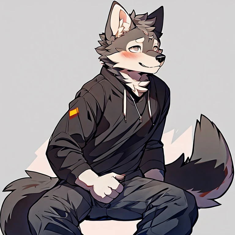 man,Gray wolf,Modern Background,Blushing,Tight Fit,Sitting,Showing White