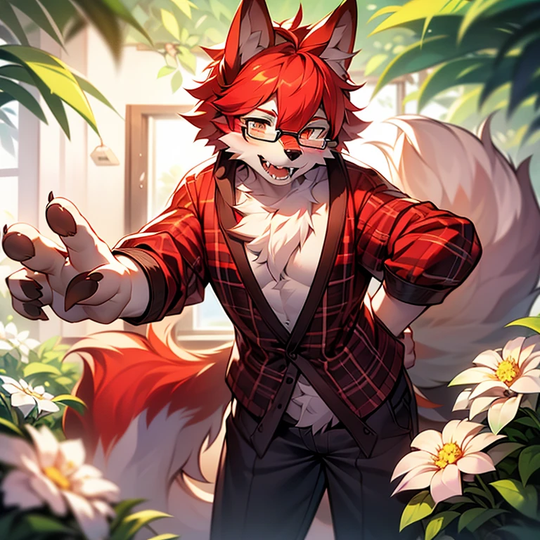 wear glasses,Red hair all over, Male wolf,short hair, Bright Eyes,The eyes are gray,With black bow,White belly,The tip of the tail is white,Meatballs Pink,hairy,hairy male ,Male focus,Flower charcoal,(Body hair, hairy尾巴, Red fur,),Long canine teeth,浑身hairy的,Costume Writer