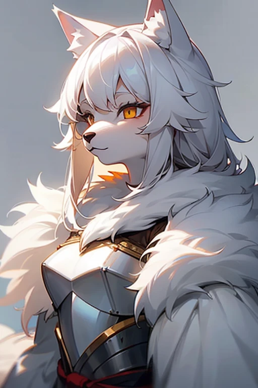 One Girl, White fur, Wolf Girl, Medium Chest, armor、Portraiture, Simple Background, (Furry:1.5) 
