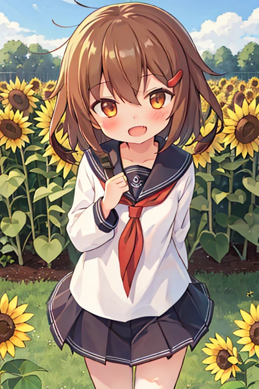 masterpiece, highest quality, High resolution, One girl, ikazuchi_kantaicollection Brown_hair, short_hair, hairclip, hair_ornament, Brown_eye, serafuku, tooth, Open_mouth, smile, blush,Sunflower Garden,