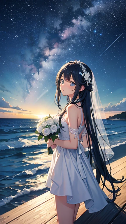 Landscape Photography、wallpaper、Starry Sky、Meteorilky way、coastal、bride