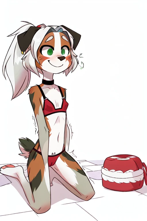 White background, medium perky breasts, Furry, ((Australian Shepard)), (solo), ((slender)), dark green fur, white hair, ponytail, (()), ((female)), short, ( ear ring, tight choker, short tail, nervous, smile, shaking motion lines), (wincing), ( clothes on floor), (( green transparent cotton underwear)), with red training bra