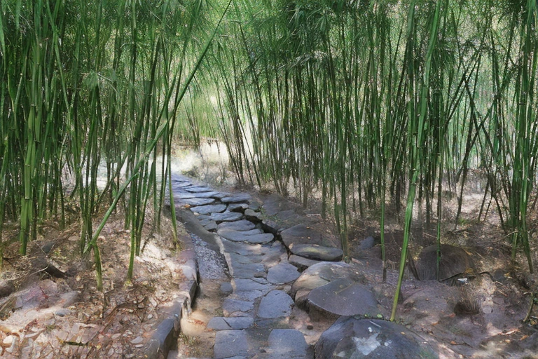 Bamboo Forest Stone Road