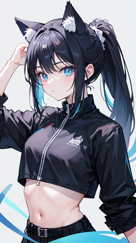 Ponytail,Black Hair,Cat ear,Light blue eyes,Cat&#39;Tail,Black suit,Miss,Japanese cartoons,slim,Black pantyhose,Pants,glare,Awkward