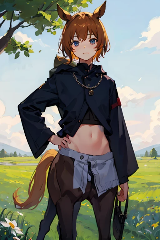 Male Centaur、8--old、mach、Delicate face、Mainly upper body、grassland