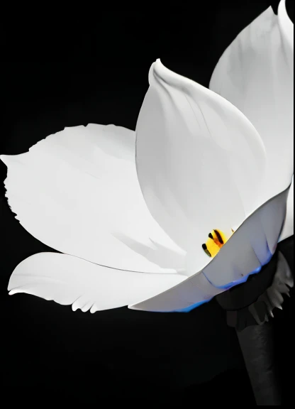 (best quality,black and white photography:1.2),close-up,soft texture of petals,dramatic contrast between light and shadow,smooth details,high resolution,ultra-detailed,studio lighting,vivid tones,bokeh