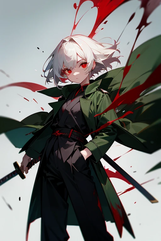 He was wearing a dark green coat and trousers.、A 14-year-old girl with red eyes and white hair, holding a Japanese sword、There is blood in my hair、They even kill people.。