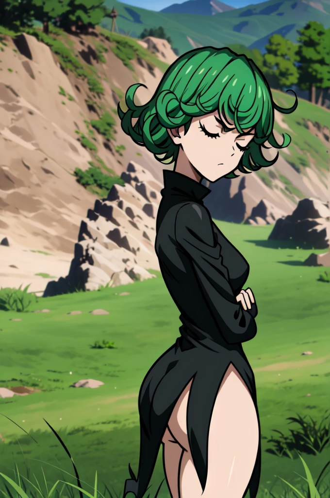 absurdres, highres, ultra detailed, tatsumakitornado, short green hair, curly hair, black dress, long sleeves, outdoors, grass, crossed arms, from below, looking away, closed eyes