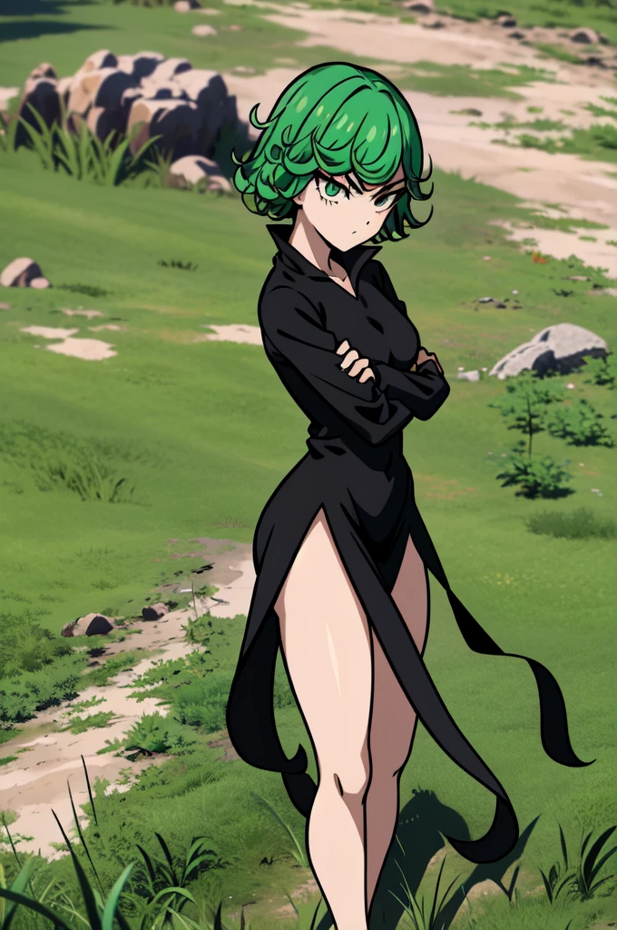 absurdres, highres, ultra detailed, tatsumakitornado, short green hair, curly hair, black dress, long sleeves, outdoors, grass, crossed arms, from below, looking away, green eyes ,full body 