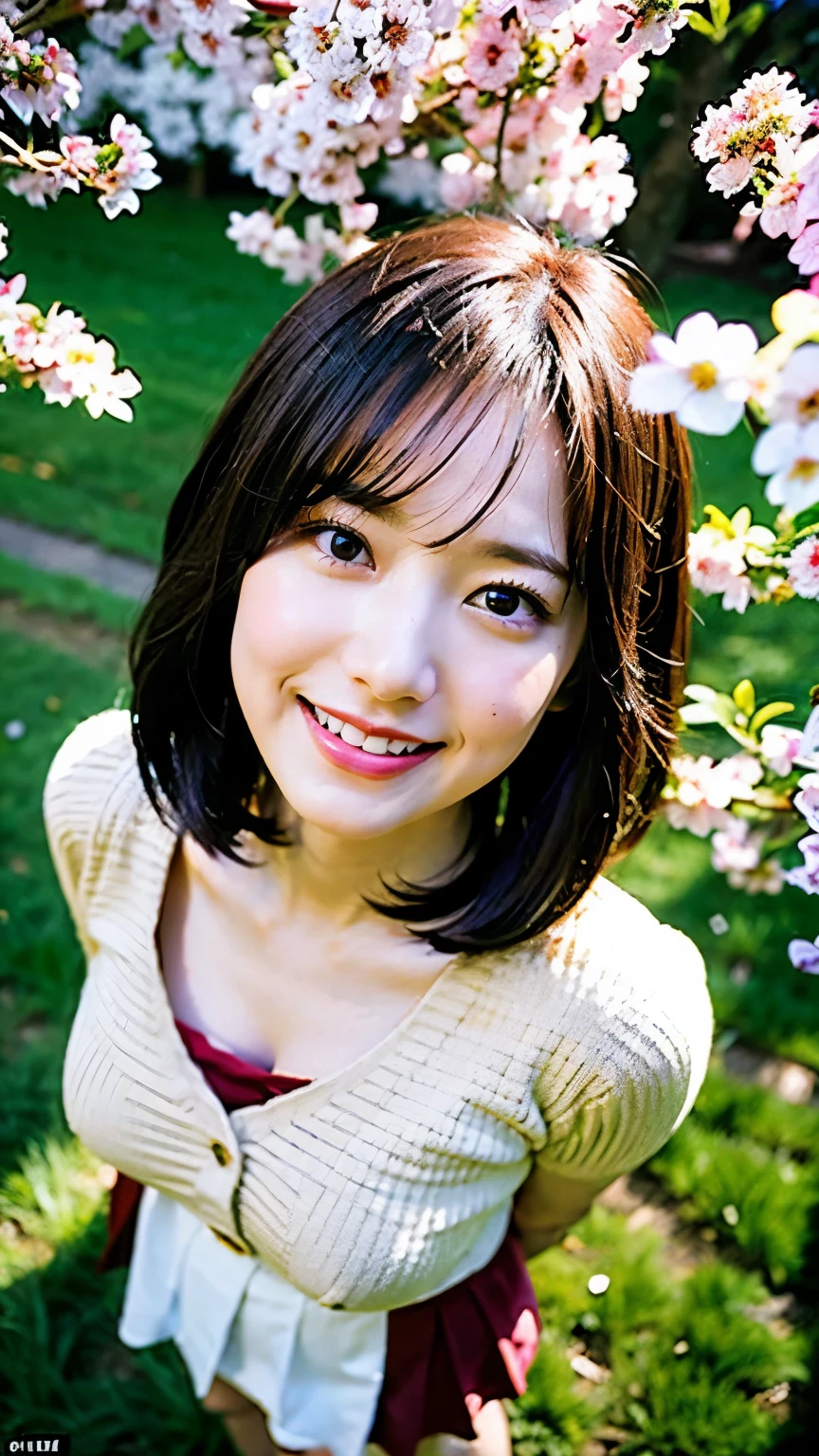 highest quality, Ultra-high resolution, (Realistic:1.4),from above, character focus, close to viewer、wide shot、full body、 Under the cherry trees in spring、Woman looking up at the camera and smiling。She is wearing a white lace no-collar shirt and a pleated skirt.、Over that she wears a loose cardigan。Cherry blossoms fluttering around、The background is a bright green grassland。The images have a bright and refreshing feel.、It is shot from an overhead perspective。In high resolution、Spring warmth and flowers々The delicate colors of。