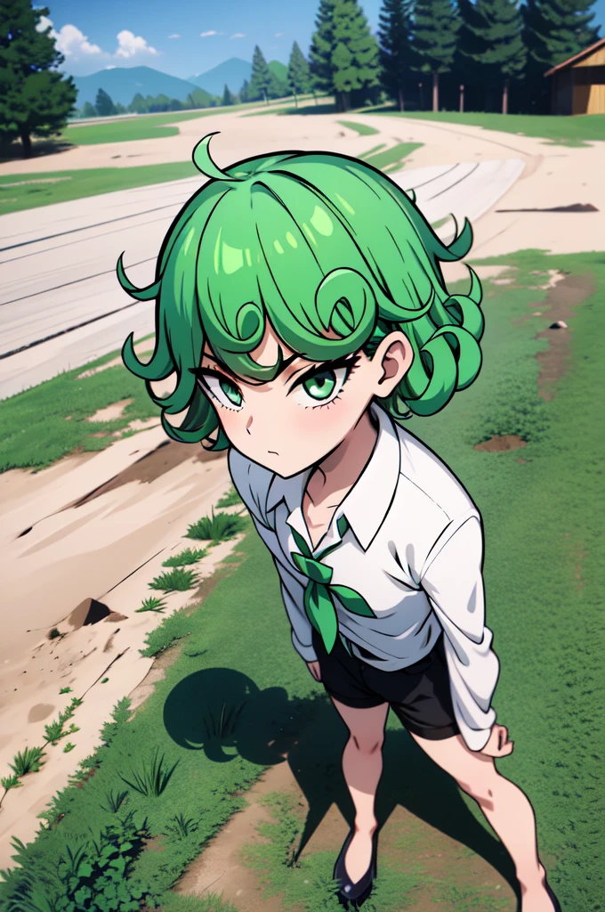 absurdres, highres, ultra detailed, tatsumakitornado, short green hair, curly hair, white shirt, black shorts, outdoors, green eyes ,full body ,looking up at veiwer, blushing ,standing,