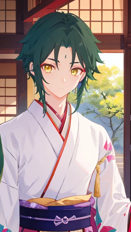 1 boy,dark green hair,highest quality,masterpiece,excessive,male focus,yellow eyes,beautiful eyes,beautiful boy,Family crested Hakama,Japan Kimono,kimono,Hakama,Crisp eyes,Heian nobility