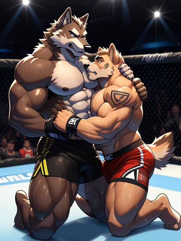 Duo big male fighters(Brown Wolf vs Marrow Wolf, handsomes, Thick eyebrows), beso gay(Cuddling kneeling, in a UFC match), hot(Full body, ), handsomes(They are handsomes, correct ), musculosos(Big muscle bodies, Six packs, muscle abs, big pecs, muscle legs, muscle backs), sweaty(very sweaty wet bodies), tatuajes(they have tattoos), Angry(They have an angry expression), UFC gloves(They both are wearing black UFC gloves), shorts(They both are wearing black shorts), Hight resolution