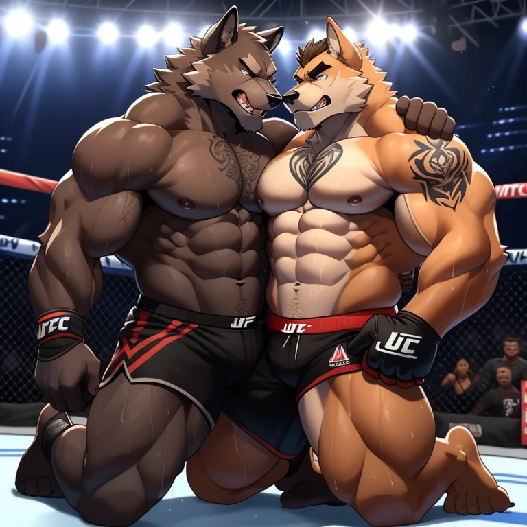 Duo big male fighters(Brown Wolf vs Marrow Wolf, handsomes, Thick eyebrows), beso gay(Cuddling kneeling, in a UFC match), hot(Full body, shirtless), handsomes(They are handsomes, correct anatomy), musculosos(Big muscle bodies, Six packs, muscle abs, big pecs, muscle legs, muscle backs), sweaty(very sweaty wet bodies), tatuajes(they have tattoos), Angry(They have an angry expression), UFC gloves(They both are wearing black UFC gloves), shorts(They both are wearing black shorts), Hight resolution