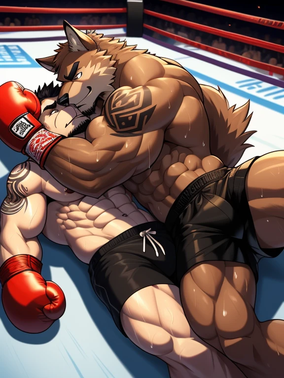 Duo big male fighters(Brown Wolf vs Marrow Wolf, handsomes, Thick eyebrows), beso gay(Cuddling lying down embraced, after of a boxing match), hot(Full body, shirtless), handsomes(They are handsomes, correct anatomy), musculosos(Big muscle bodies, Six packs, muscle abs, big pecs, muscle legs, muscle backs), sweaty(very sweaty wet bodies), tatuajes(they have tattoos), Angry(They have an angry expression), boxing gloves(They both are wearing reds boxing gloves), shorts(They both are wearing black shorts), Hight resolution