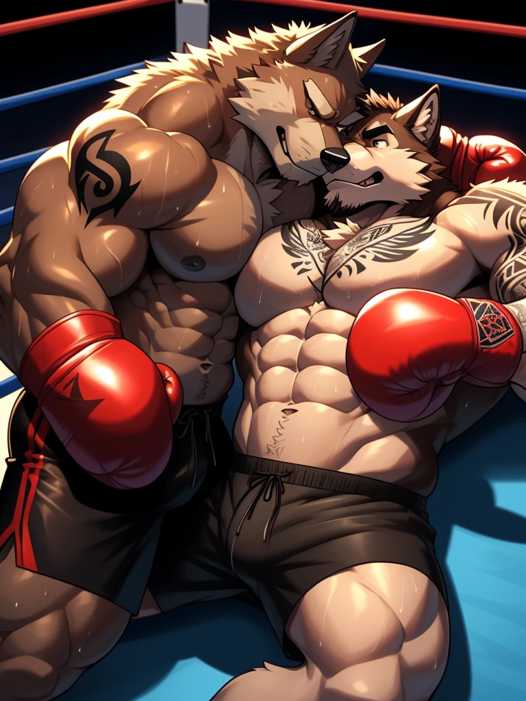 Duo big male fighters(Brown Wolf vs Marrow Wolf, handsomes, Thick eyebrows), beso gay(Cuddling lying down embraced, after of a boxing match), hot(Full body, shirtless), handsomes(They are handsomes, correct anatomy), musculosos(Big muscle bodies, Six packs, muscle abs, big pecs, muscle legs, muscle backs), sweaty(very sweaty wet bodies), tatuajes(they have tattoos), Angry(They have an angry expression), boxing gloves(They both are wearing reds boxing gloves), shorts(They both are wearing black shorts), Hight resolution