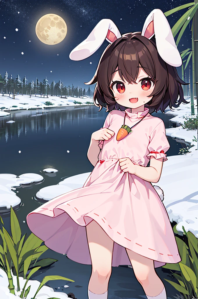 Night, Bamboo Forest, Snow, Small River, Reeds, Inaba Tewi, , Flat Chest, Red Eyes, Naughty Face, :D, Smile, Closed Mouth, Fangs, Brown Hair, Short Hair, Rabbit Ears, Floppy Ears, Rabbit Tail, Carrot Necklace, Pink Ribbon-Trimmed Dress, Puffy Short Sleeves, Ribbon-Trimmed Sleeves, White Socks, Standing, Head Tilt, Clothes Lift, Lifted By Self, Looking At Viewer, Best Quality, Amazing Details, Brilliant Colorful Paintings  ,moon,
[asex:kawaii:0.4]  