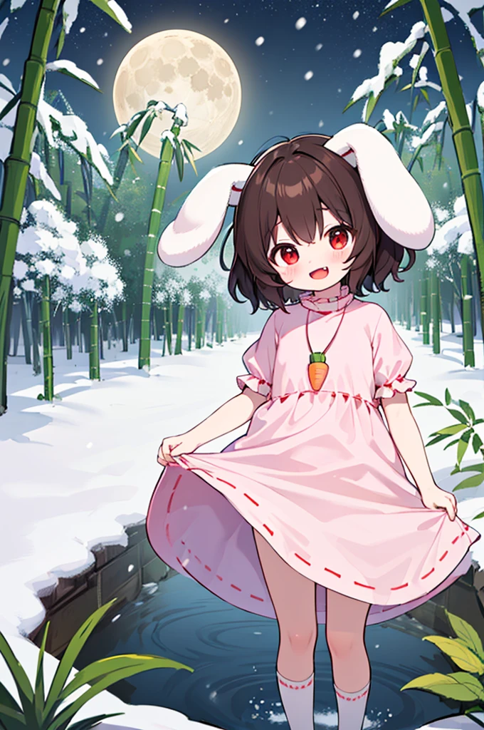 Night, Bamboo Forest, Snow, Small River, Reeds, Inaba Tewi, , Flat Chest, Red Eyes, Naughty Face, :D, Smile, Closed Mouth, Fangs, Brown Hair, Short Hair, Rabbit Ears, Floppy Ears, Rabbit Tail, Carrot Necklace, Pink Ribbon-Trimmed Dress, Puffy Short Sleeves, Ribbon-Trimmed Sleeves, White Socks, Standing, Head Tilt, Clothes Lift, Lifted By Self, Looking At Viewer, Best Quality, Amazing Details, Brilliant Colorful Paintings  ,moon,
[asex:kawaii:0.4]  