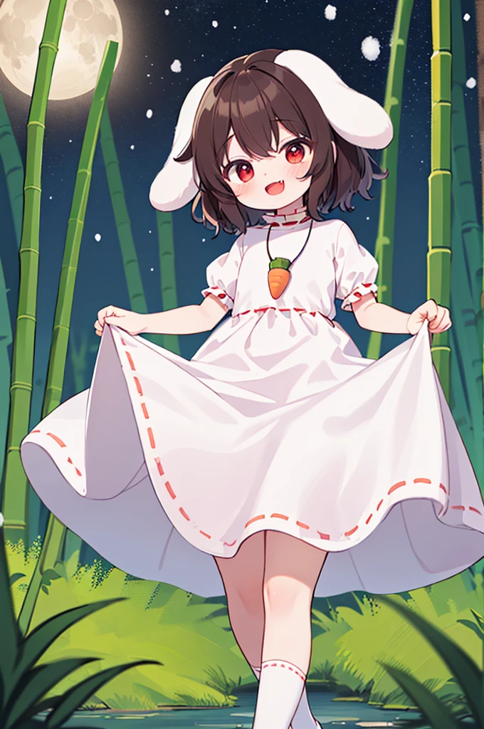 Night, Bamboo Forest, Snow, Small River, Reeds, Inaba Tewi, , Flat Chest, Red Eyes, Naughty Face, :D, Smile, Closed Mouth, Fangs, Brown Hair, Short Hair, Rabbit Ears, Floppy Ears, Rabbit Tail, Carrot Necklace, Pink Ribbon-Trimmed Dress, Puffy Short Sleeves, Ribbon-Trimmed Sleeves, White Socks, Standing, Head Tilt, Clothes Lift, Lifted By Self, Looking At Viewer, Best Quality, Amazing Details, Brilliant Colorful Paintings  ,moon,
[asex:kawaii:0.4]  