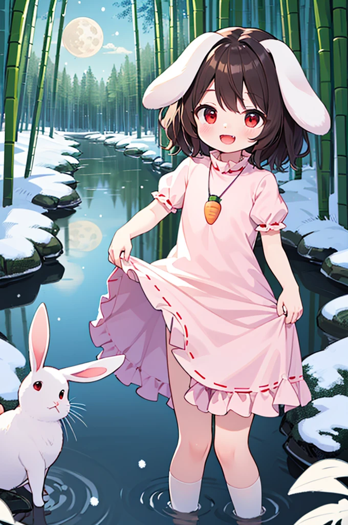 Night, Bamboo Forest, Snow, Small River, Reeds, Inaba Tewi, , Flat Chest, Red Eyes, Naughty Face, :D, Smile, Closed Mouth, Fangs, Brown Hair, Short Hair, Rabbit Ears, Floppy Ears, Rabbit Tail, Carrot Necklace, Pink Ribbon-Trimmed Dress, Puffy Short Sleeves, Ribbon-Trimmed Sleeves, White Socks, Standing, Head Tilt, Clothes Lift, Lifted By Self, Looking At Viewer, Best Quality, Amazing Details, Brilliant Colorful Paintings  ,moon,
[asex:kawaii:0.4]  