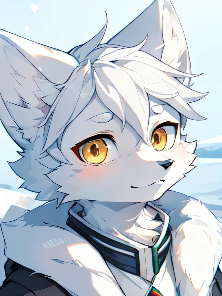 ((Best picture quality)),masterpiece,The only person,Ultra Detailed,(Male Arctic fox:1.5), (White skin:1.3),((Golden pupils)),(White fur:1.3) ,(Gray ears),(Furry animal ears),Cotton-padded clothes,scan the winter,in the snow,Upper part of the body,Character Close-up