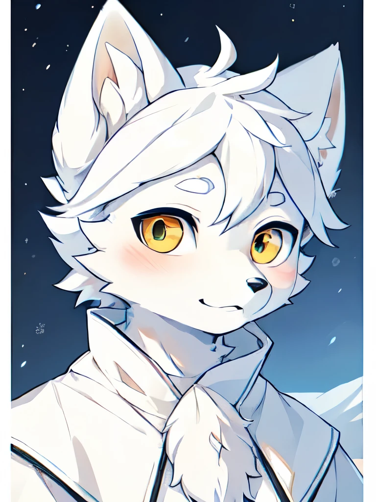 ((Best picture quality))，masterpiece，The only person，Ultra Detailed，(Male Arctic fox:1.5), (White skin:1.3)，((Golden pupils))，(White fur:1.3) ,(Gray ears),(Furry animal ears)，Cotton-padded clothes，scan the winter，in the snow，Upper part of the body，Character Close-up