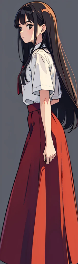 woman，Red Skirt，Long hair，Long skirt，Simple background