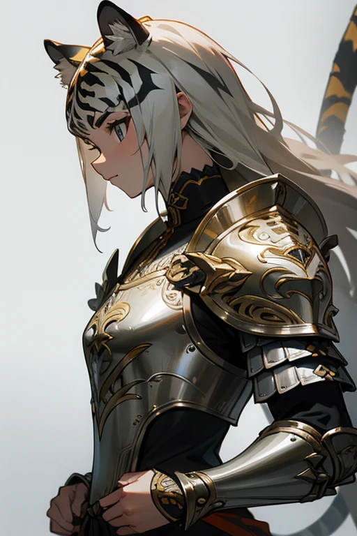 Animal tiger、 Fine Armor, Intricate Design, Silver, silk, 8k.sharp、View your viewers、Absolutely strong、