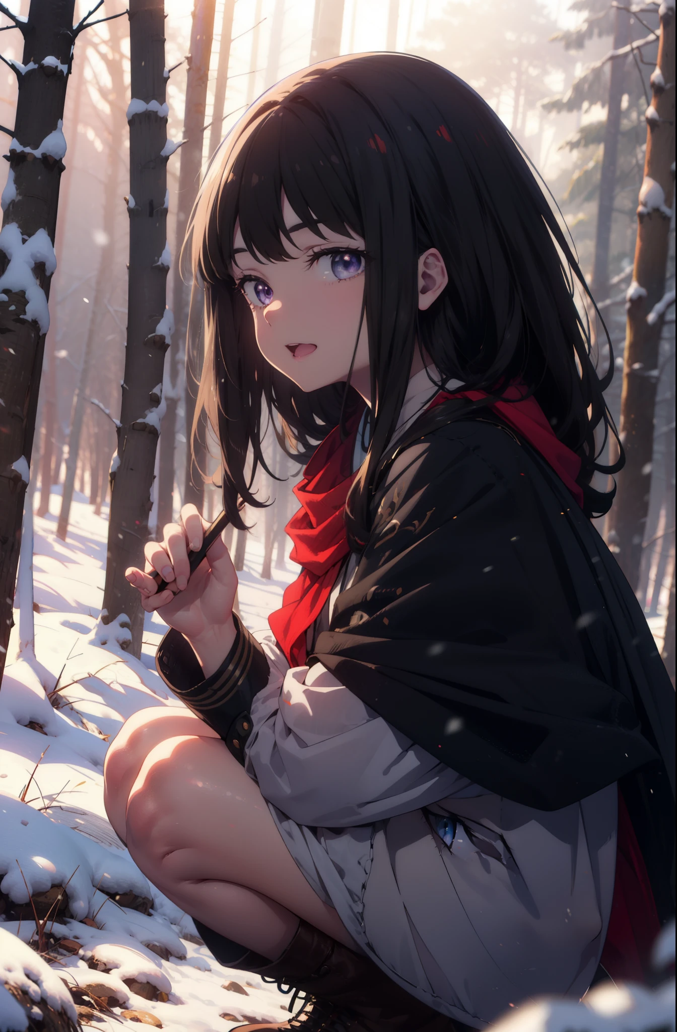 Takiuchi, Inoue Check, Long Hair, bangs, Black Hair, (Purple eyes:1.2),smile,
Open your mouth,snow,Bonfire, Outdoor, boots, snowing, From the side, wood, suitcase, Cape, Blurred, forest, nature, Squat, Cape, winter, Written boundary depth, Black shoes, red Cape break looking at viewer, Upper Body, whole body, break Outdoor, forest, nature, break (masterpiece:1.2), highest quality, High resolution, unity 8k wallpaper, (shape:0.8), (Beautiful and beautiful eyes:1.6), Highly detailed face, Perfect lighting, Highly detailed CG, (Perfect hands, Perfect Anatomy),