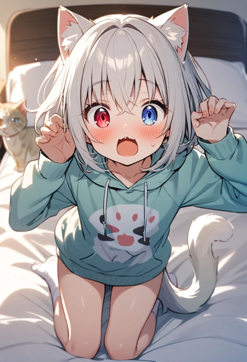 girl,hoodie,On the bed,Excited,Heterochromia Red Eyes Blue Eyes,Flat Chest,Cat ear,Feline tail,boy,cute,Cat ear,Cat&#39;s Tail,dick,play sex