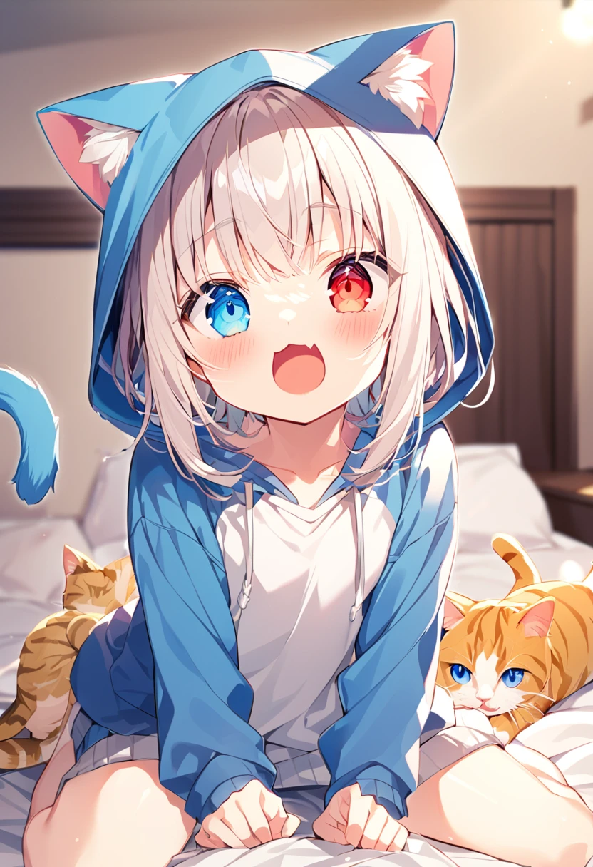girl,hoodie,On the bed,Excited,Heterochromia Red Eyes Blue Eyes,Flat Chest,Cat ear,Feline tail,boy,cute,Cat ear,Cat's Tail,dick,play sex,masturbation, dildo